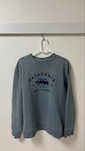 PATAGONIA 맨투맨