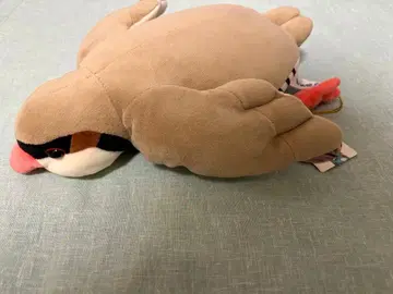 조금 희귀한 이와샤코 봉제 인형 카케가와 화조원 새 버드