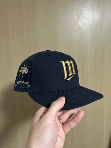 the cap 별주 Minnesota Twins 캡