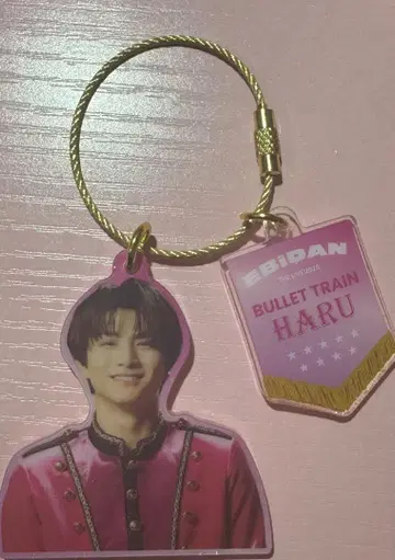 초특급 하루 에비라이 아크릴 키링