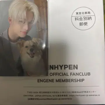 ENHYPEN 니키 설문 트레이딩 카드