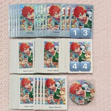 앙스타 스바루 파샤츠 폴라로이드 캔뱃지