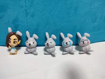 줄 서는 친구들. 토끼! 래피