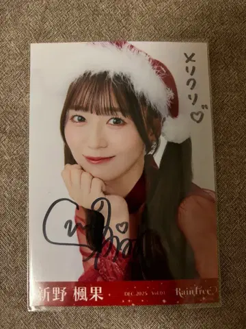 신노 후우카 RainTree 레인 트리 크리스마스 코디 생 직필 요리