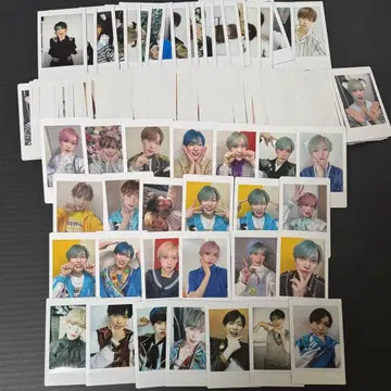 팬더드래곤 타이거 폴라로이드 하피카