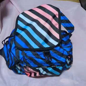 스트라이프 디자인의 럭색/백팩