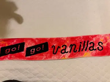 go! go! vanillas 타월