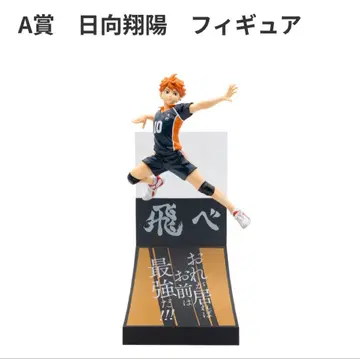 히나타 쇼요 피규어 세트