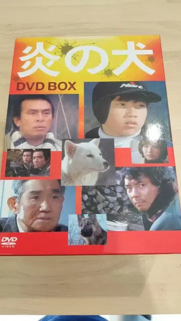 불꽃의 개 DVD-BOX 새상품급 작동 양호