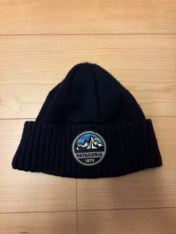 PATAGONIA 네이비 비니