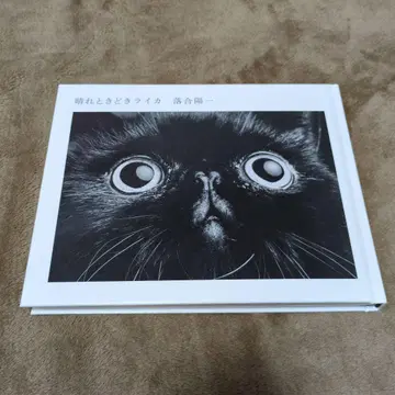 맑음 때때로 라이카