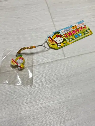 지역 한정 키티 고치 문단