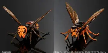 가샤폰 온라인 생물대도감 어드밴스 말벌 02 2종 피규어