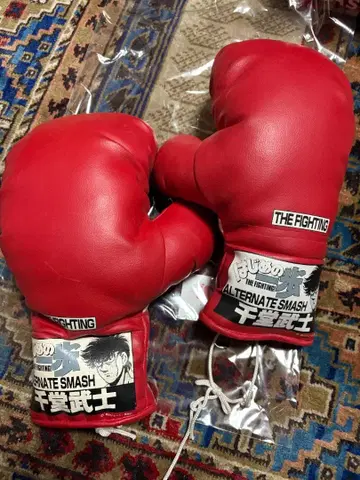 하지메노잇포 리얼 파이팅 그로브 센도 타케시 좌우 세트