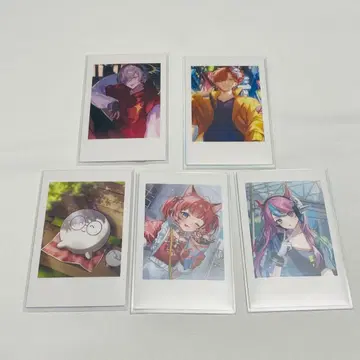 Crazy Raccoon CR 셀피 카드 달마이즈갓 아리사카