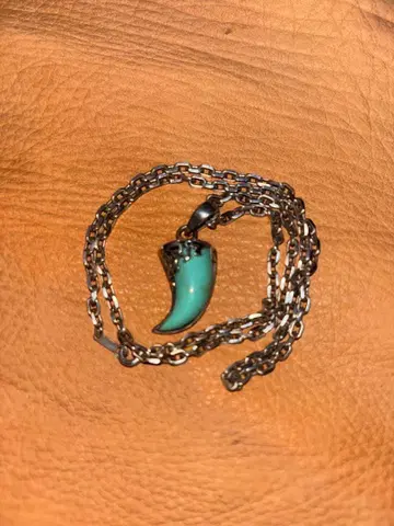 터콰이즈와 블랙의 송곳니형 목걸이