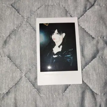 신천지개벽집단 지그재그 폴라로이드