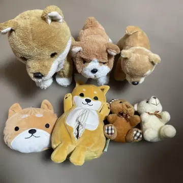 시바견 봉제 인형 곰 봉제 인형