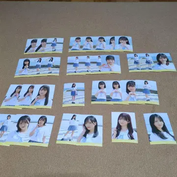 니아 조이 브로마이드