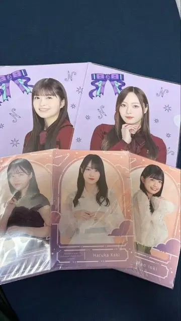 노기자카46 클리어 파일 세트