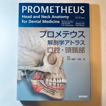 프로메테우스 해부학 아틀라스 구강 두경부 PROMETHEUS