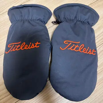 Titleist 방한용 그로브 블랙 FREE