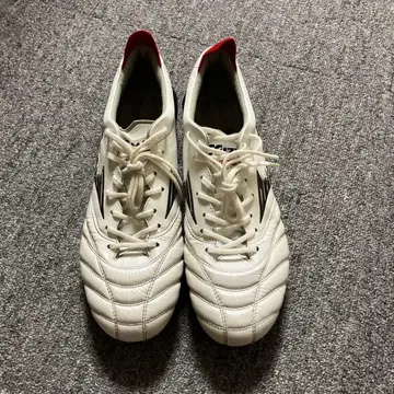 새상품급 모렐리아 네오 4