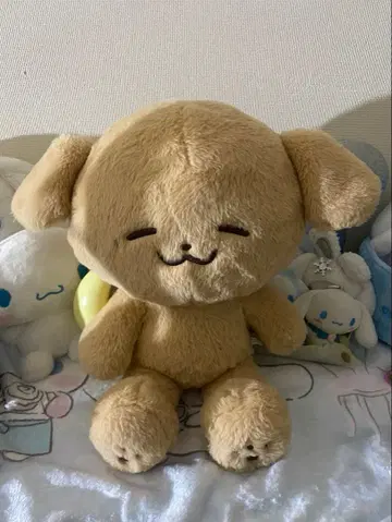 NCT DREAM 제노 봉제 인형 40cm