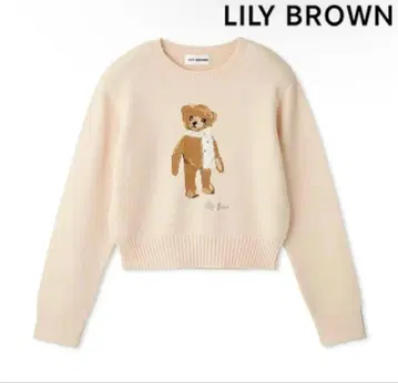 lily brown Lily Bear 니트 릴리 베어
