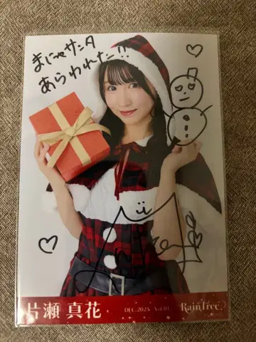 카타세 마이카 RainTree 레인츠리 크리스마스 코디 생필사 츄