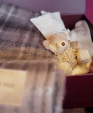 THETOE Fleisch Bear Keychain 곰 베어 브라운