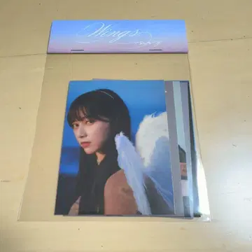 노기자카46 이케다 에레나 개인전 오리의 꿈 스티커 large