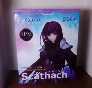 Fate 페이트 엑스텔라 링크 스카사하 피규어 SPM