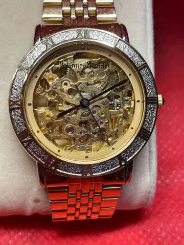 발렌티노 모라디 841-041 자동 와인딩 손목시계 스켈레톤