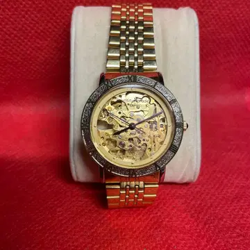 발렌티노 모라디 841-041 자동 와인딩 손목시계 스켈레톤