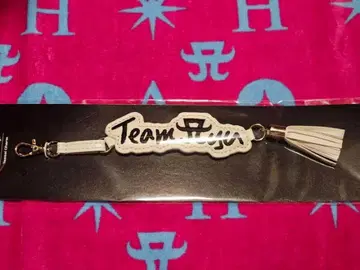 하마사키 아유미 태슬 회장 한정판