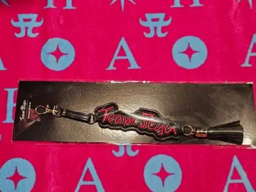 하마사키 아유미 태슬 회장 한정판