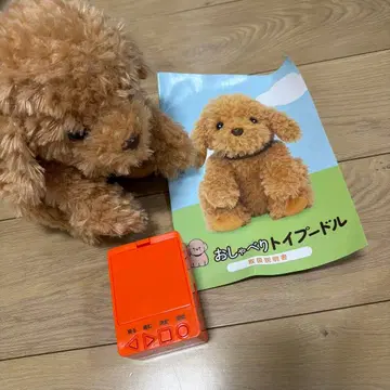 말하는 토이 푸들 새상품급