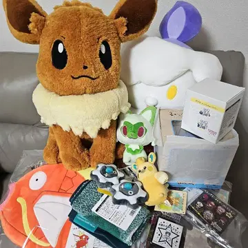 피카피카 박스 2026 발췌 없음