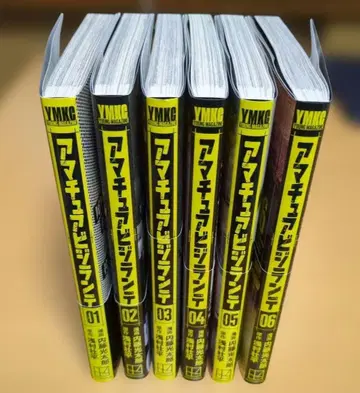 아마추어 자경단