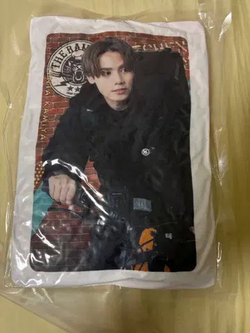 카미야 켄타 쿠션