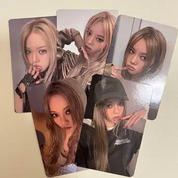 allday project ADP 베일리 매장 특전 트레이딩 카드 세트