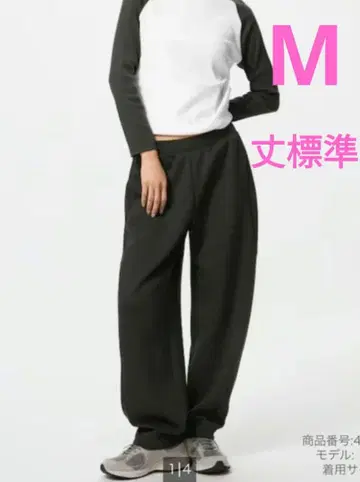 유니클로 UNIQLO 드라이 맨투맨 커브 팬츠 그린 M사이즈 새상품