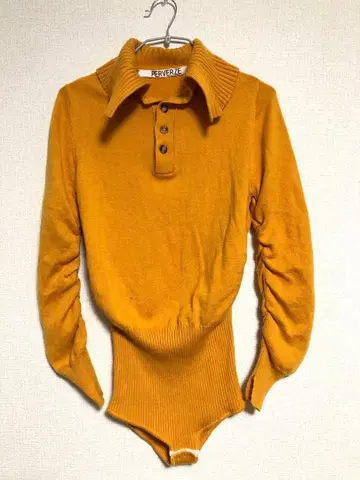 PERVERZE 머스타드 바디수트 니트