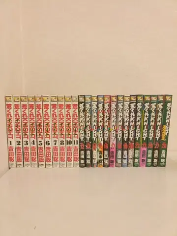 거친 기사 전24권 (1~8 10~20 22~23 26~28) [초판]