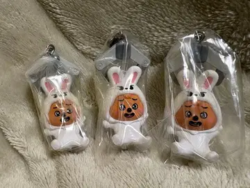 SKZOO 츳만데츠나게테마스코토 한쿼카 3개 세트