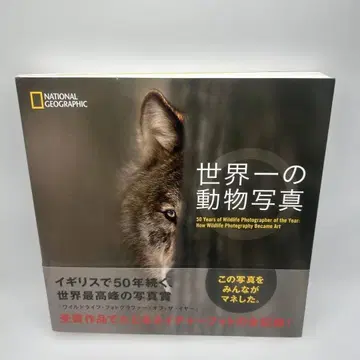 세계 최고의 동물 사진