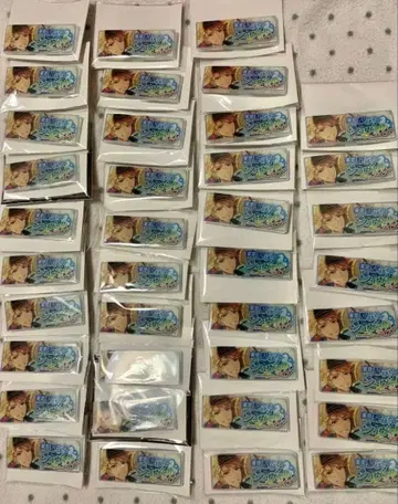 나루카미 아라시 배너 캔뱃지