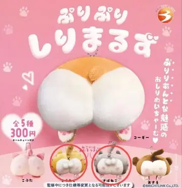 프리프리 시리마루즈 호랑이 고양이 고등어 고양이