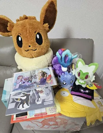 피카피카 박스 2026 금빛 잉어킹 발췌 없음